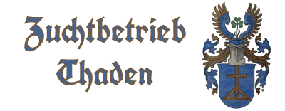Zuchtbetrieb Thaden